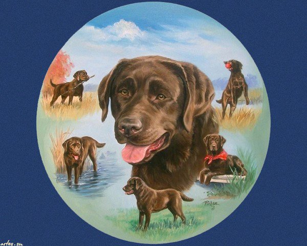 серия "верный друг" - животные, собаки - оригинал