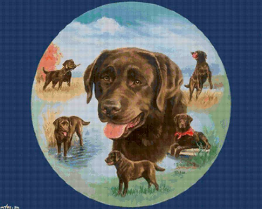 серия "верный друг" - животные, собаки - предпросмотр