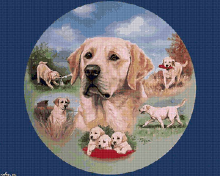 серия "верный друг" - собаки, животные - предпросмотр