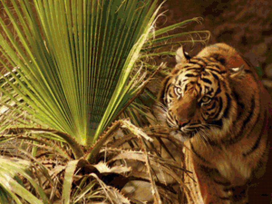 №114948 - животные - предпросмотр