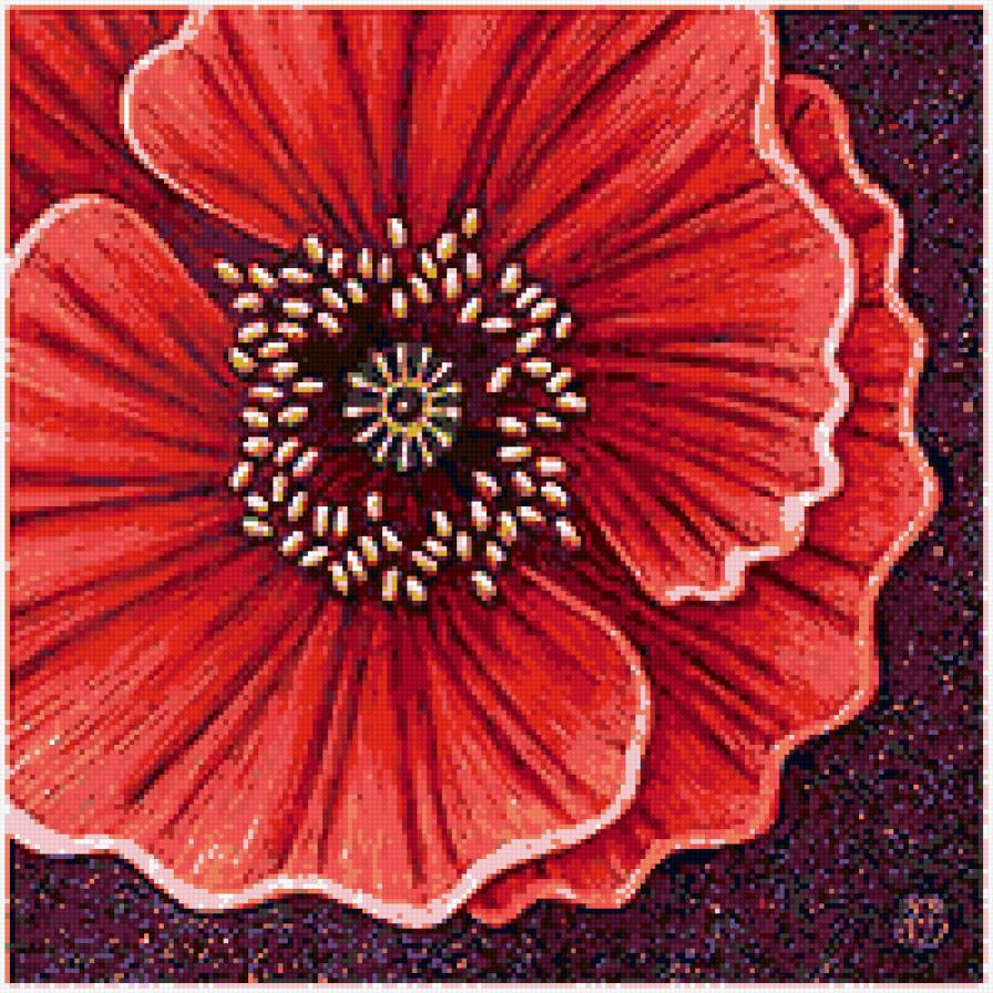 мак - подушка, цветок - предпросмотр