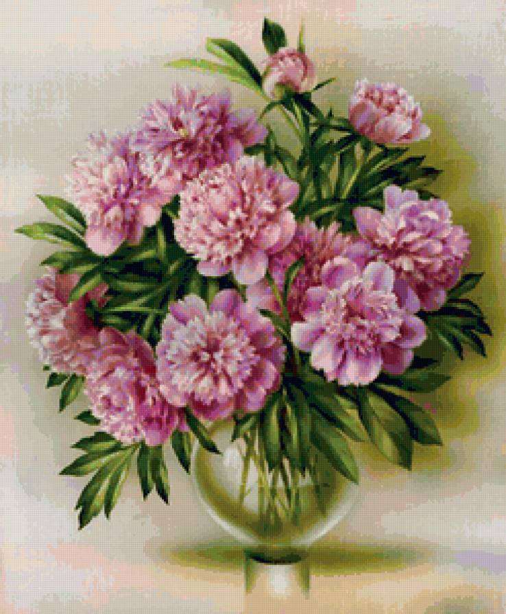 букет пионов - цветы, букет - предпросмотр