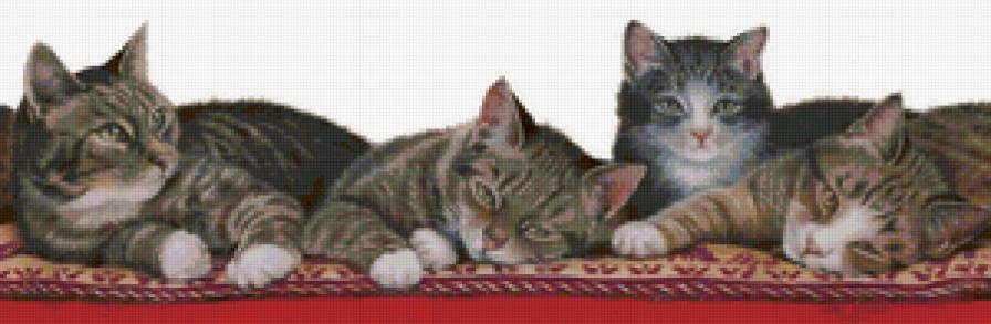 Котята - бордюр, живопись, животные, коты - предпросмотр