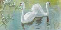 Лебеди - оригинал
