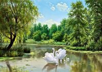 Лебеди - оригинал