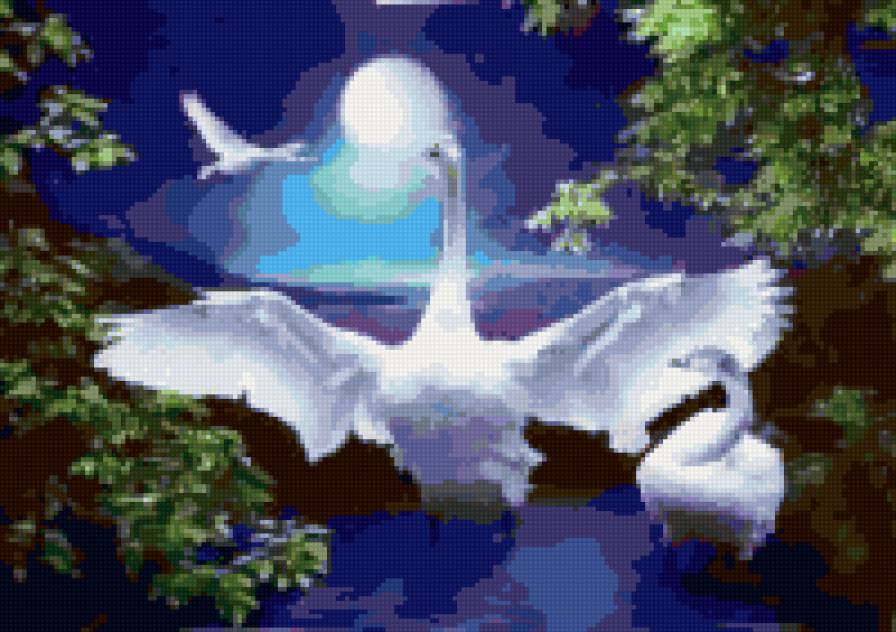 Лебеди - предпросмотр