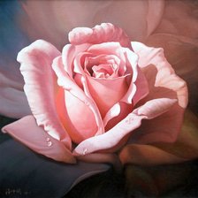 Схема вышивки «Роза»