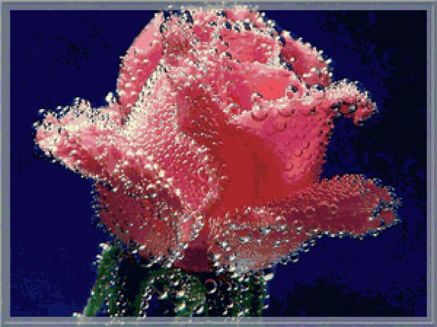 №115607 - розы, цветы, картина - предпросмотр