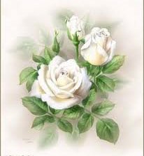 Схема вышивки «Розы»