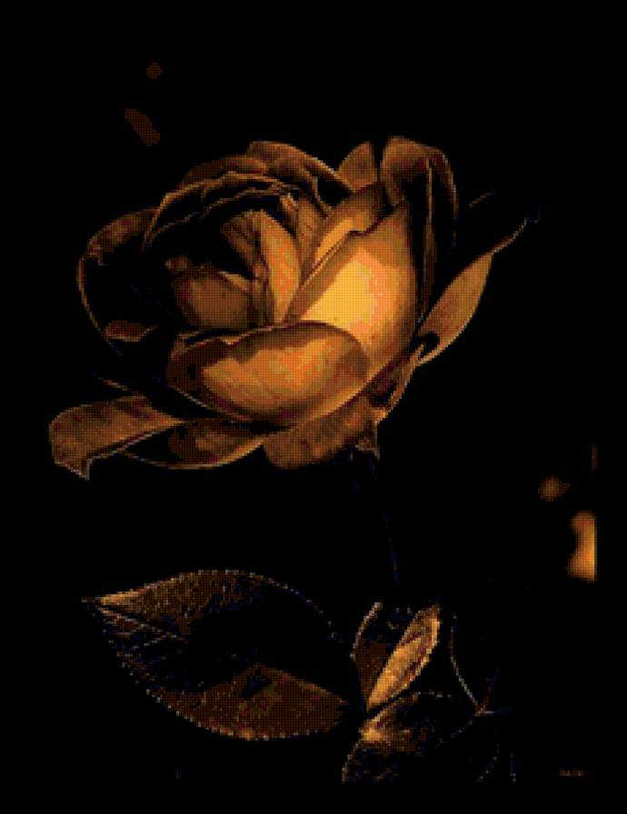 №115659 - цветы, розы, картина - предпросмотр