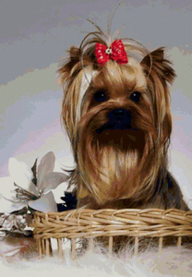 №115692 - картина, животные, цветы, собаки - предпросмотр