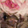 Предпросмотр схемы вышивки «букет роз» (№115762)