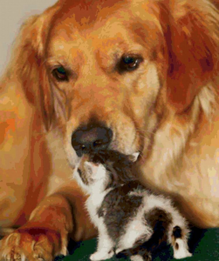 Друзья - кошки, собаки, животные - предпросмотр