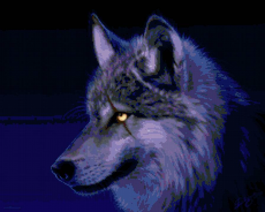 Волк - волки, волк, зверь, животное - предпросмотр