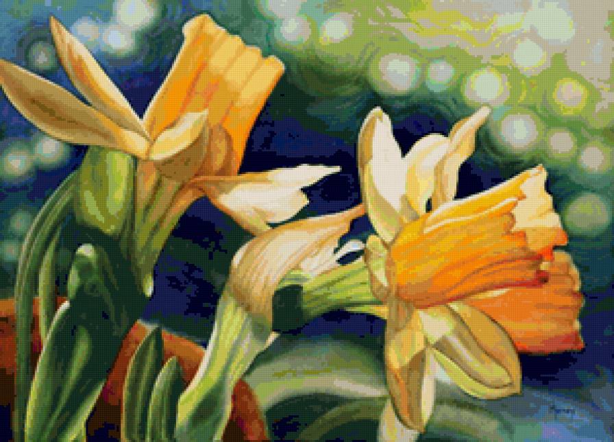 нарциссы - нарциссы, цветок, цветы - предпросмотр