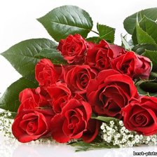 Схема вышивки «букет роз»