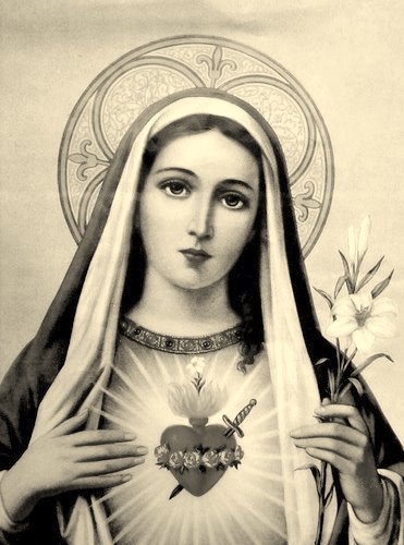 Дева Мария - богородица, мадонна, образ, дева мария, религия - оригинал