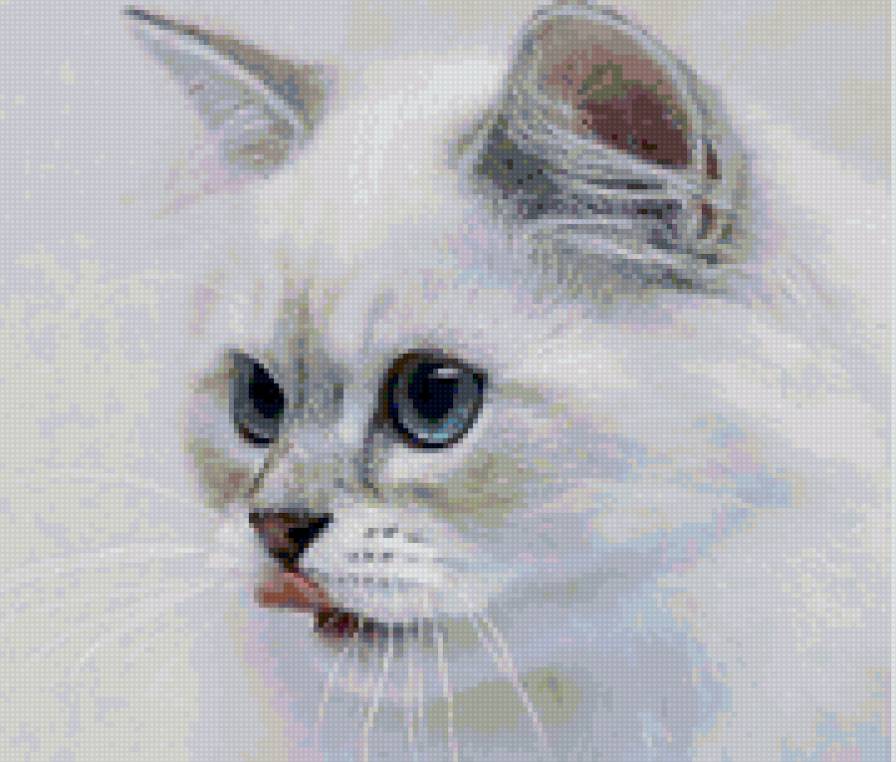 пушок - животные, кошки - предпросмотр