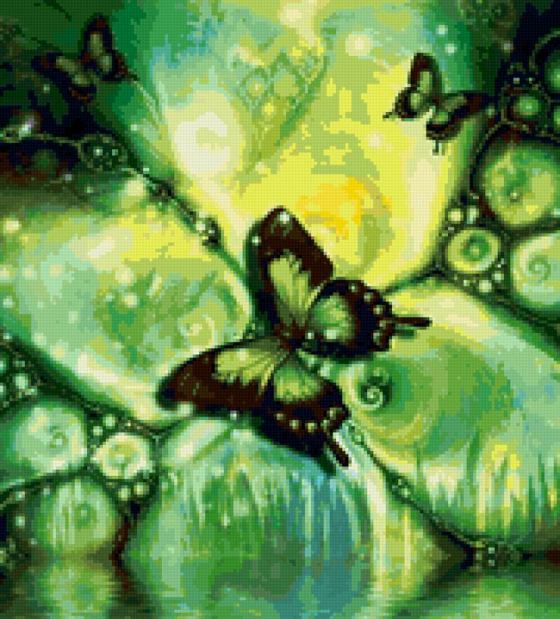 Бабочки - предпросмотр