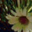 Предпросмотр схемы вышивки «натюрморт» (№116331)