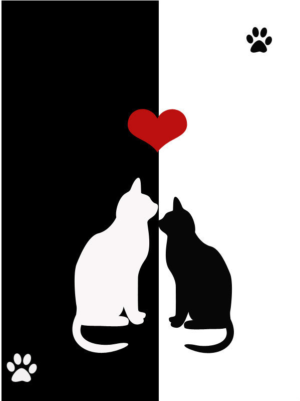 кошки - черно-белое - оригинал