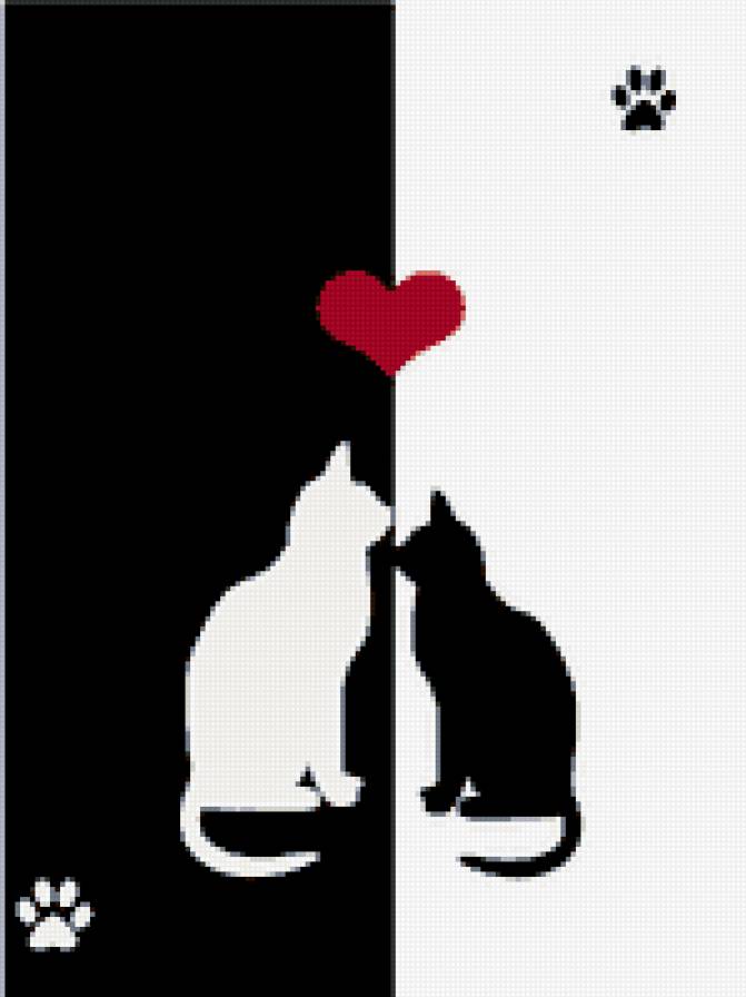 кошки - черно-белое - предпросмотр