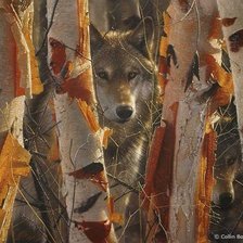 Схема вышивки «волк»