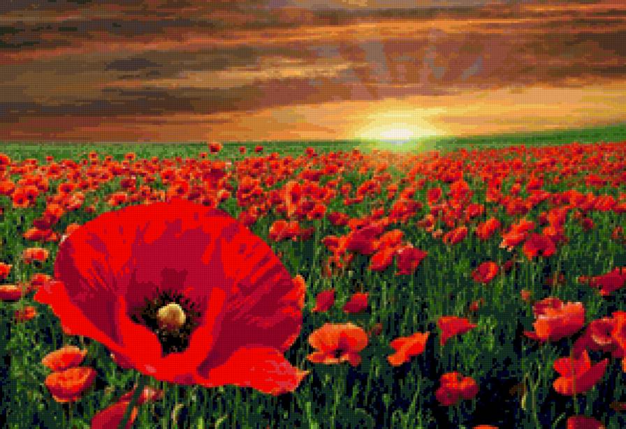 маки 2 - мак - предпросмотр