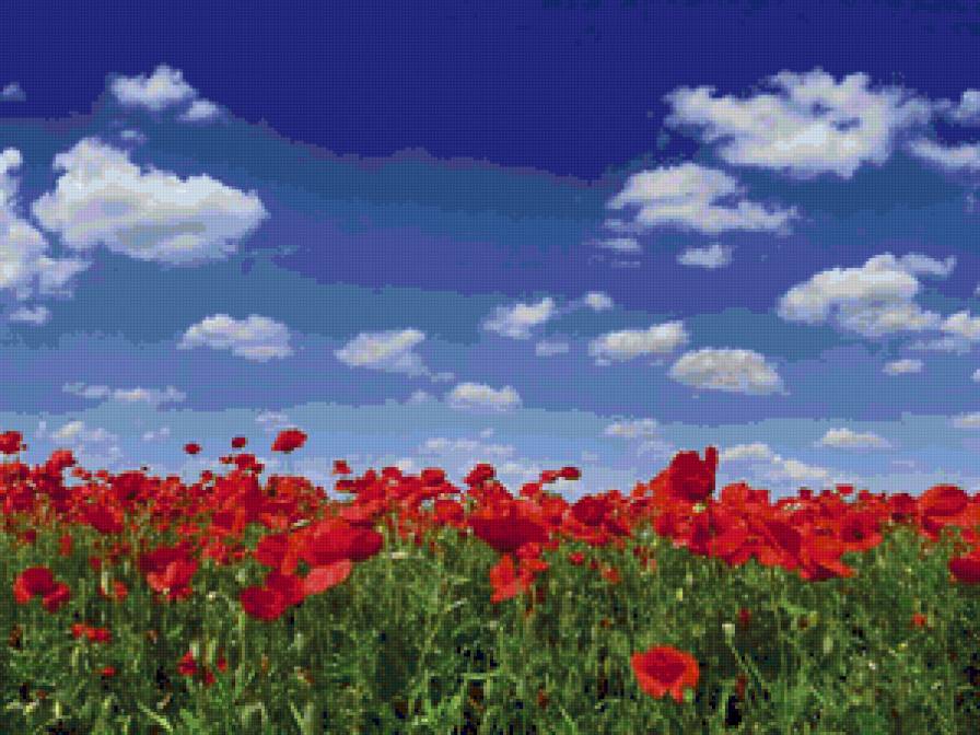 маки3 - мак - предпросмотр