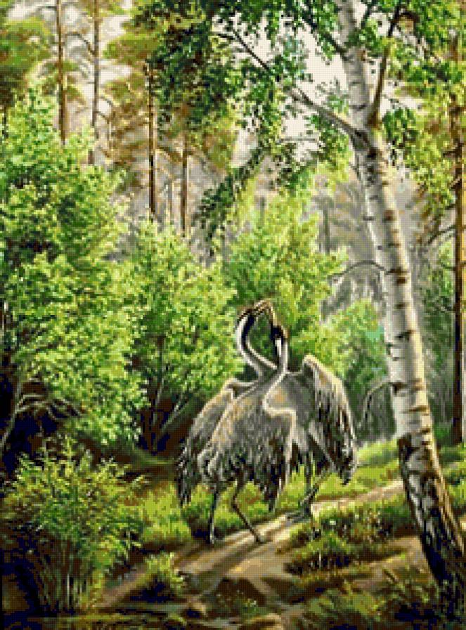 Журавлиный танец - лес, красота, журавли, природа, птицы, пейзаж, живопись - предпросмотр