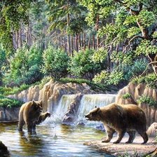 Медвежьи купания