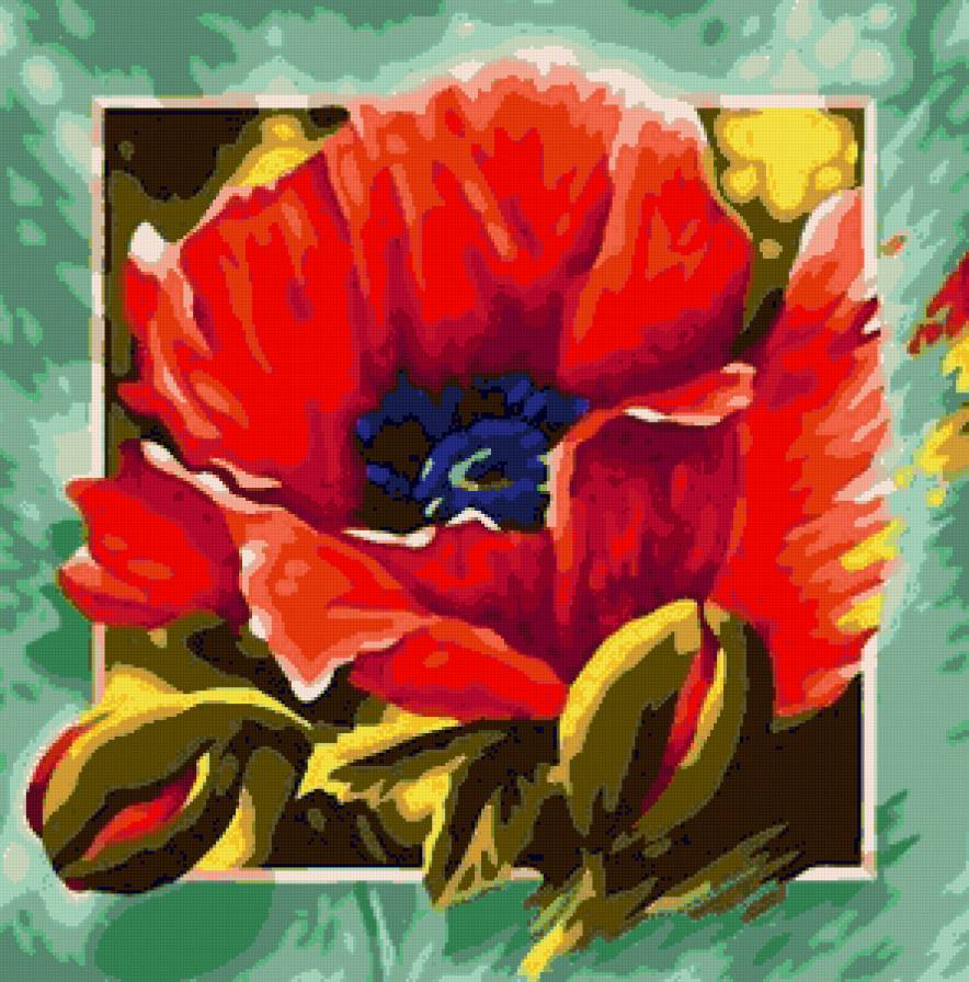 Маки - маки - предпросмотр