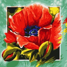 Схема вышивки «Маки»