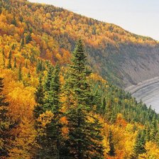 Схема вышивки «осень»