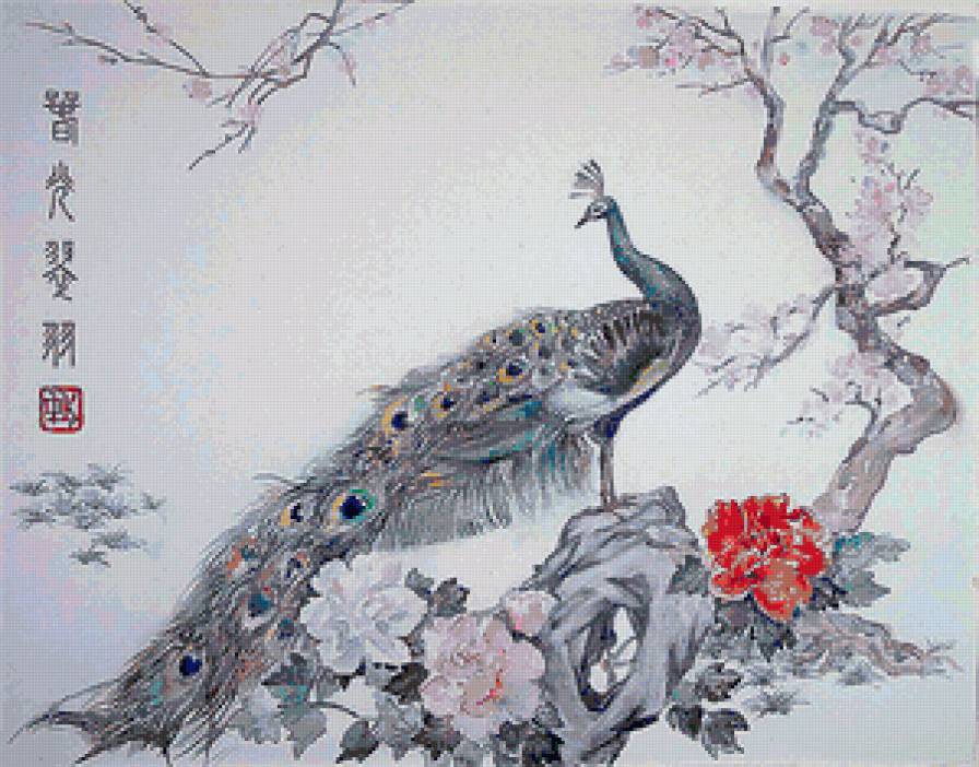 китайская живопись - птицы, китай, павлин - предпросмотр