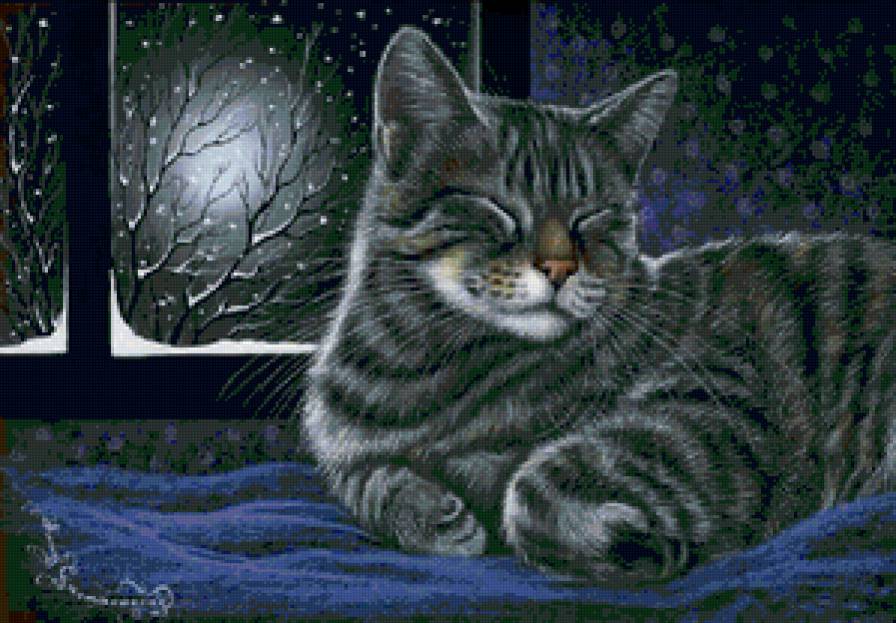 кот - кот, зима - предпросмотр