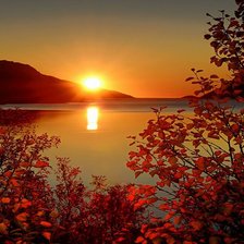 Схема вышивки «№117203»