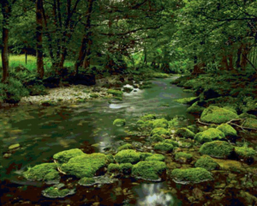 №117258 - природа - предпросмотр