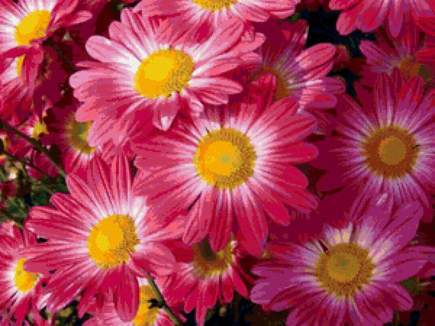 №117269 - цветы - предпросмотр