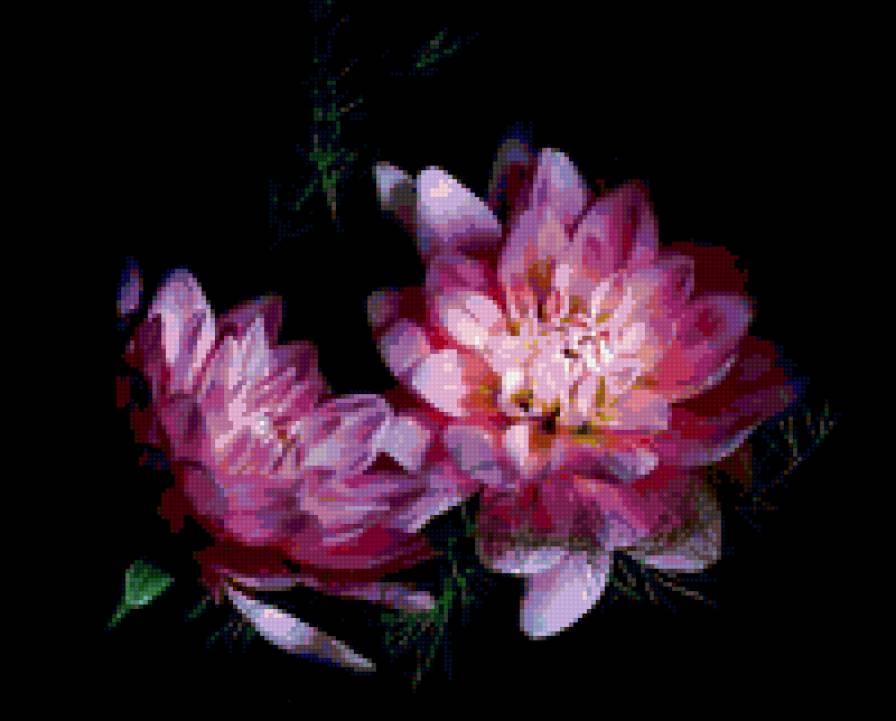 на черном фоне - предпросмотр