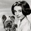 Одри Хепберн - актриса, одри хепберн, портрет - оригинал