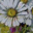 Предпросмотр схемы вышивки «Полевые цветы» (№117659)