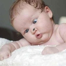 Схема вышивки «Малыш и муха»