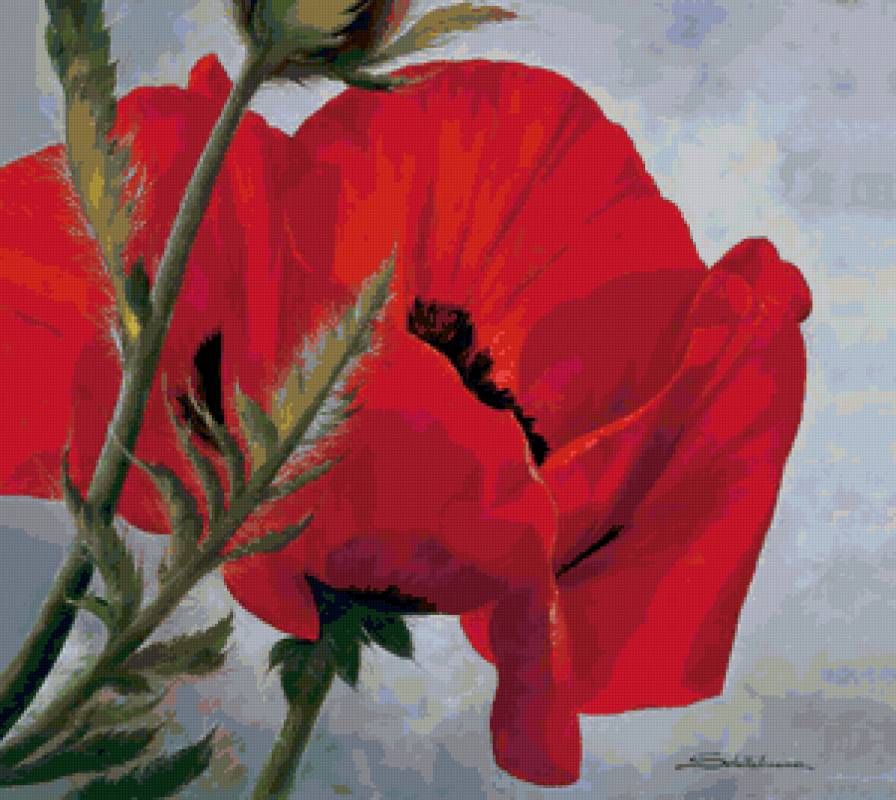 Серия "Букет" - цветы, букет, маки - предпросмотр