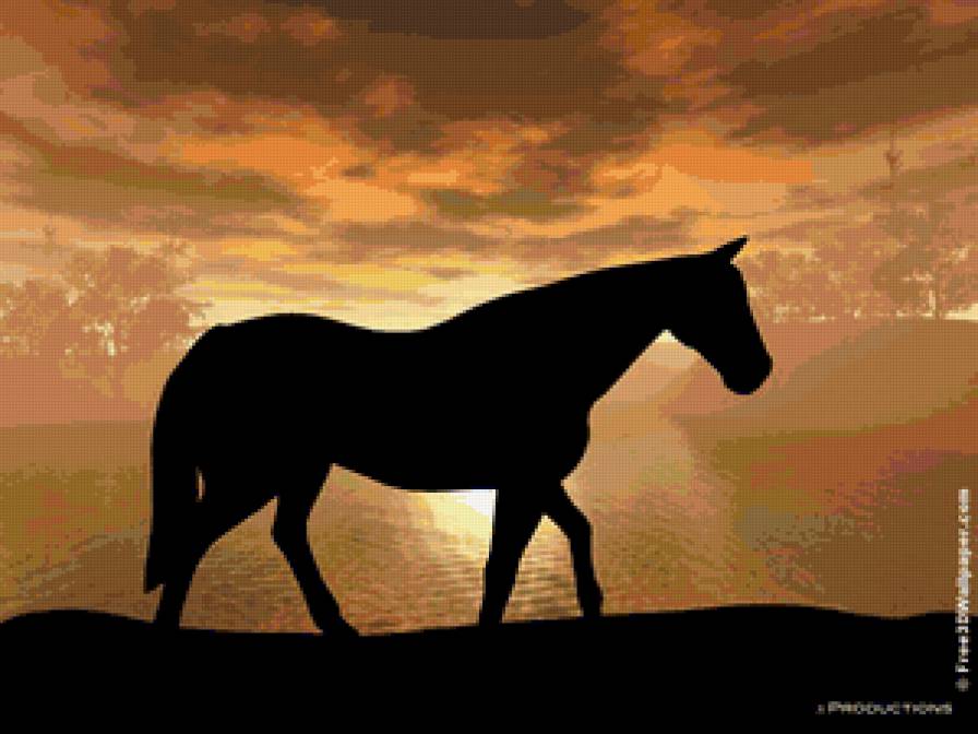 Конь и закат - животные, конь - предпросмотр