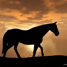Конь и закат