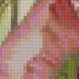 Предпросмотр схемы вышивки «тюльпаны» (№118319)