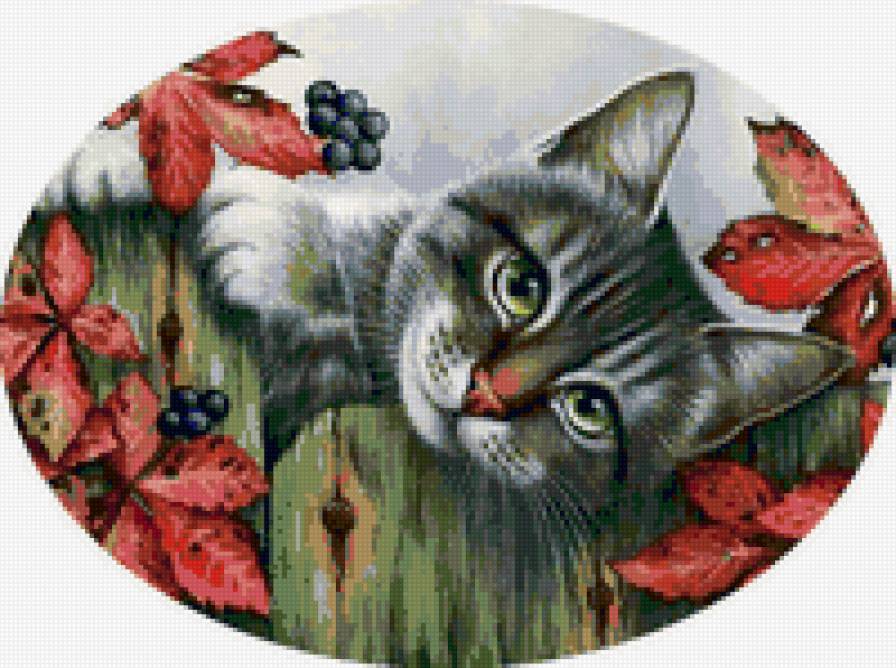 Кот - животные - предпросмотр