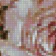 Предпросмотр схемы вышивки «№118464»
