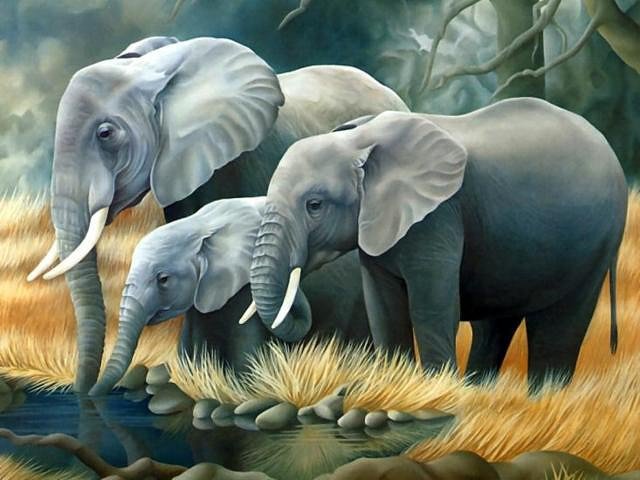 Семья слонов - слоны, животные - оригинал